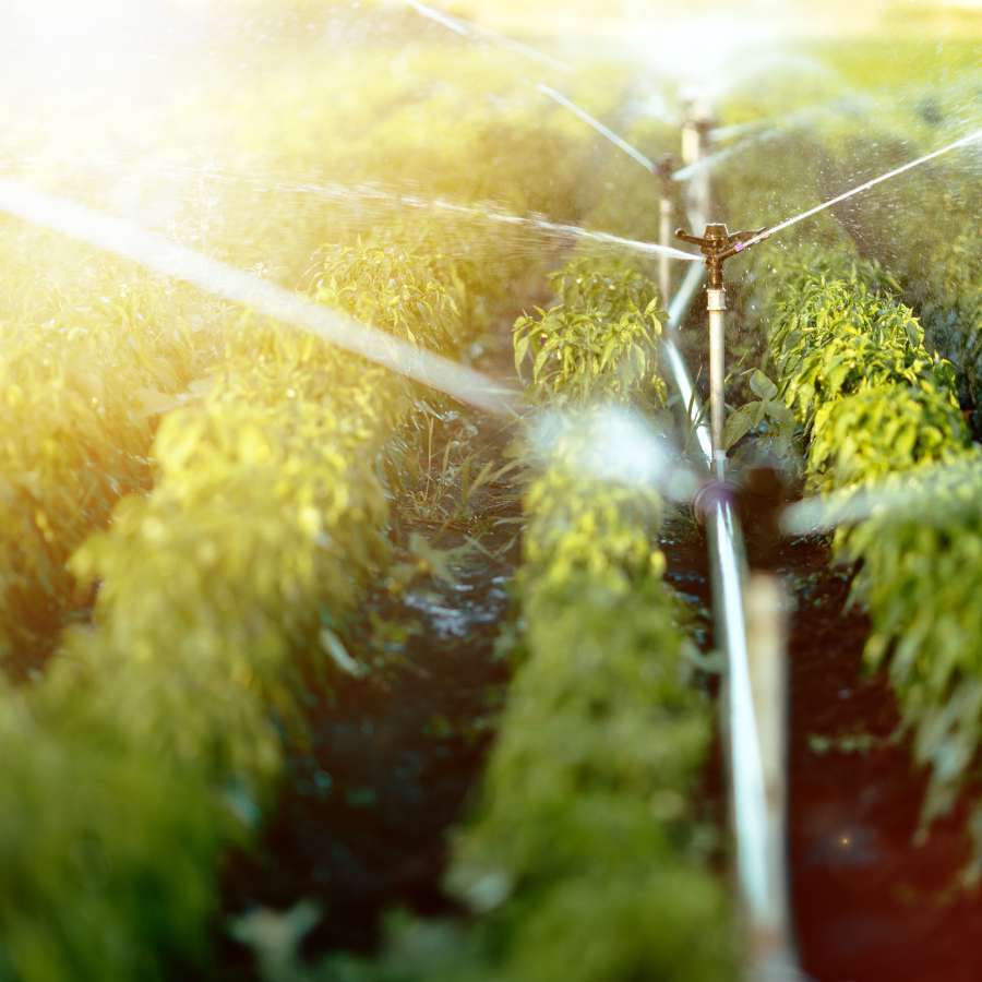 Agriculture Compression Fittings